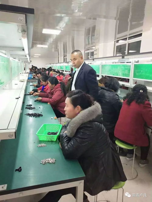 双槐树乡浙芮电子元件加工扶贫工厂开工投产 助力通讯设备产业发展